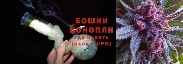 ECSTASY Вяземский