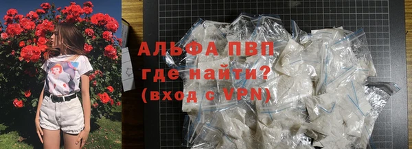 ECSTASY Вяземский