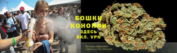 ECSTASY Вяземский