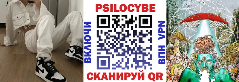 blacksprut онион  где можно купить наркотик  Зея  Галлюциногенные грибы MAGIC MUSHROOMS 